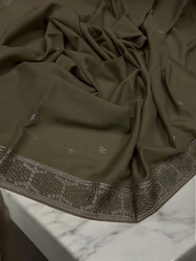 Beige Brown Honeycomb Fancy Embroidered Shaal