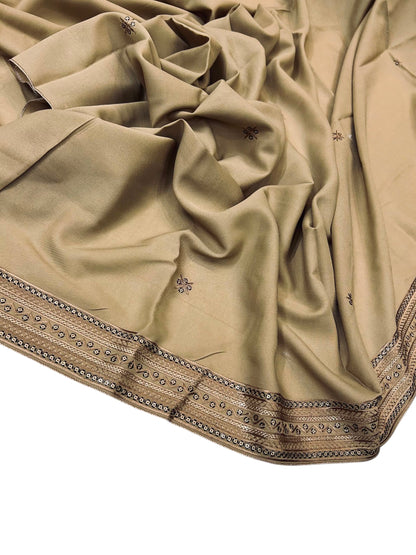 Neutral Beige Fancy Double Sequence Embroidered Shaal