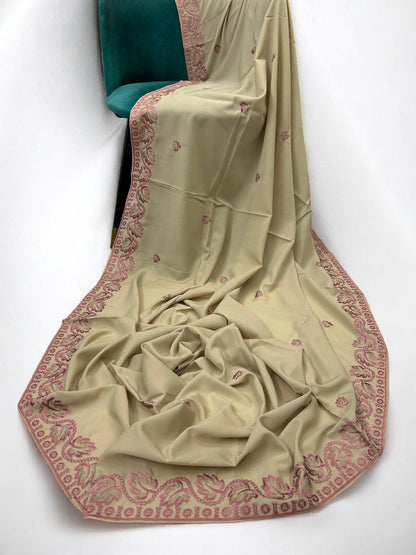 Beige Blush Pink Leaflets Fancy Embroidered Shaal
