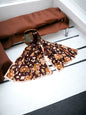 Satin Silk Scarf - Brown Chanel